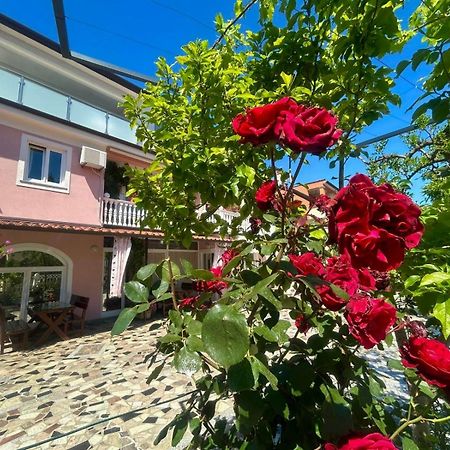 Apartments Tereza Novigrad Istria Eksteriør billede