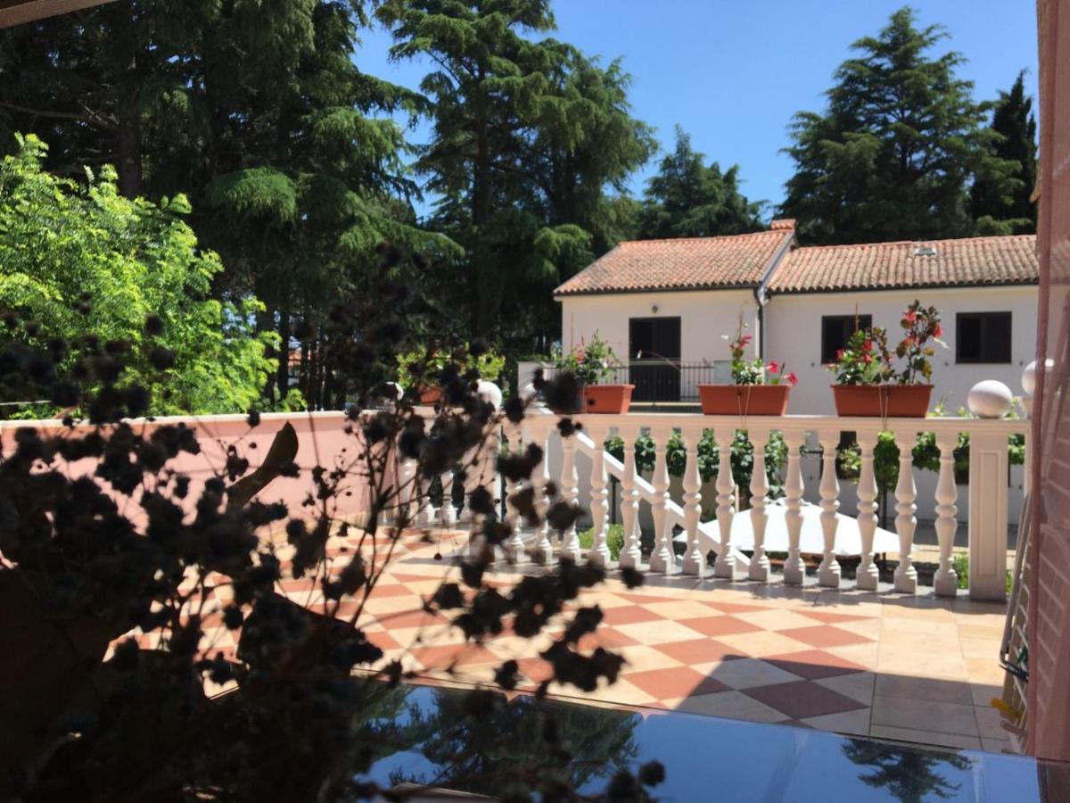 Apartments Tereza Novigrad Istria Eksteriør billede